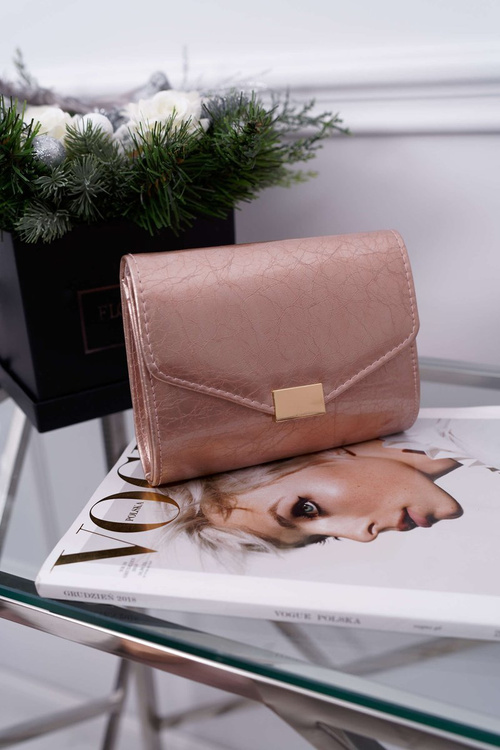 Champagnerfarbener Damenumschlag Stilvolle Handtasche